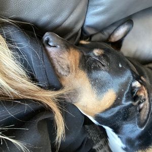 Meet your Posher, Karen